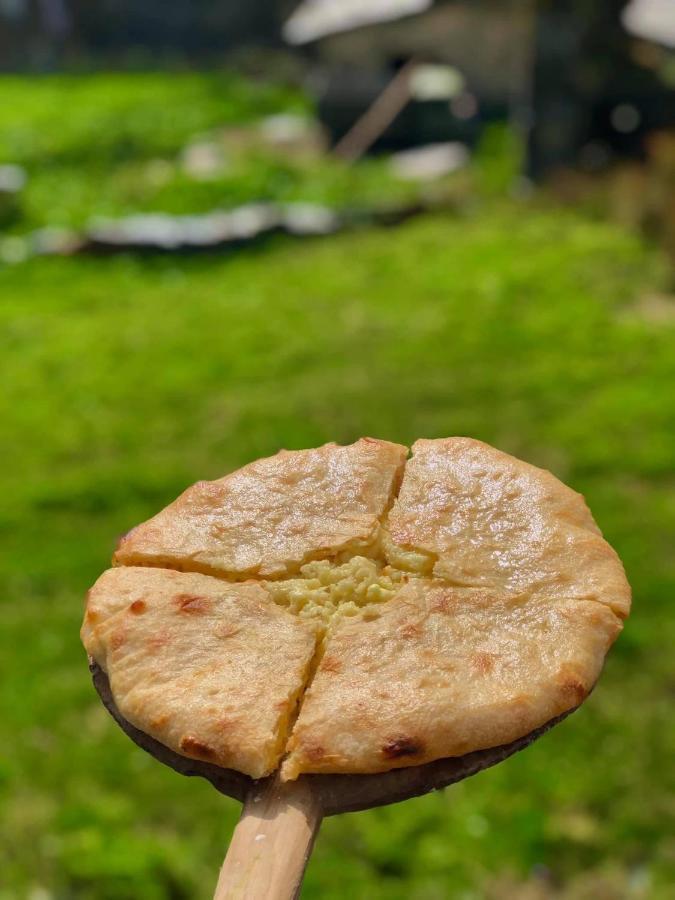 ホテル Ushguli 12 Century エクステリア 写真